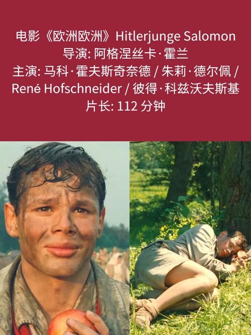 小花仙秋季篇免费观看完整版的相关介绍